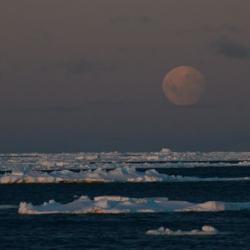 Perigee moon in the Southern Seas