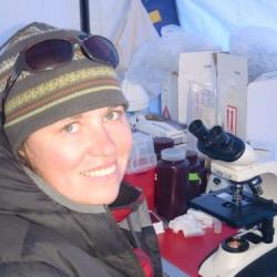 Anne Jungblut counting different species under the microscope.