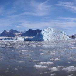 Kronebreen glacier - choked with ice