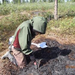 Ludda uses a soil saw to take a soil core from a burn plot.
