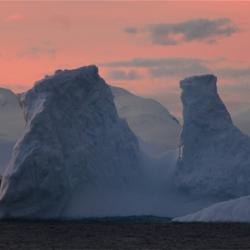 Icebergs at Cierva Point