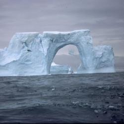Iceberg losing pieces, Anvers Island, Antarctica