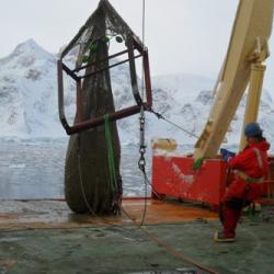 Trawling in Antarctica