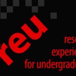 Research Experience for Undergraduates