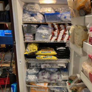 Refrigerator with scientific samples and frozen food